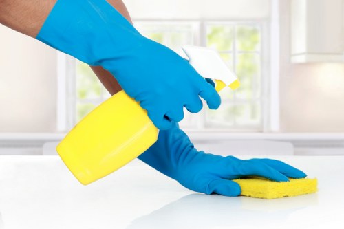 Professional carpet cleaner at work in a London home