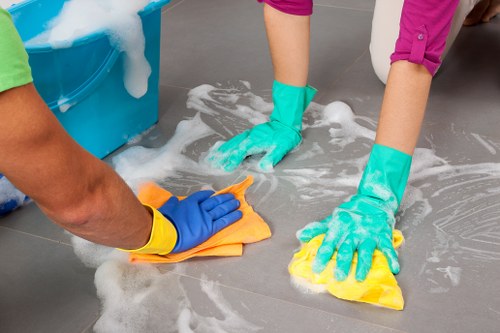 Professional carpet cleaners assessing carpet condition