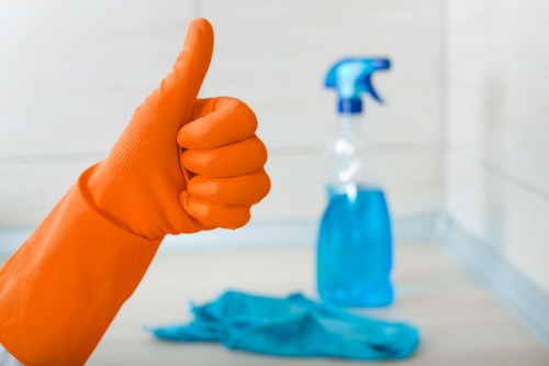 Healthy and clean carpet after professional cleaning