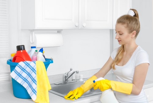 Eco-friendly rug cleaning process
